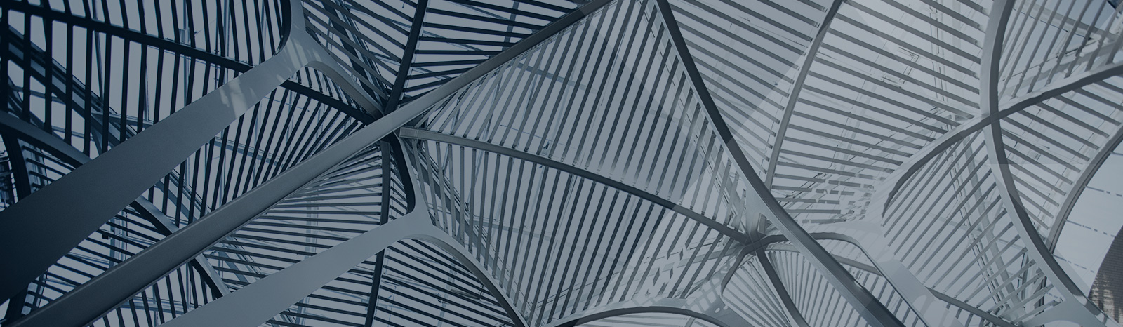 Trump, Trade, Twisters, and Trailer Parks