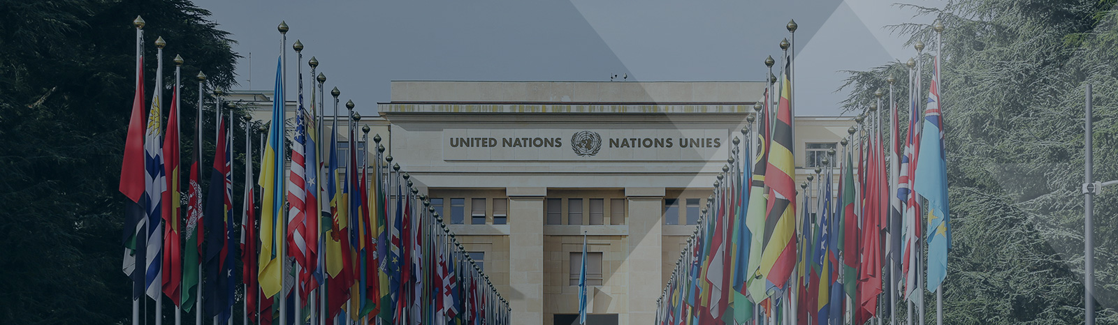 Field Notes: Observing the International Bureaucrat