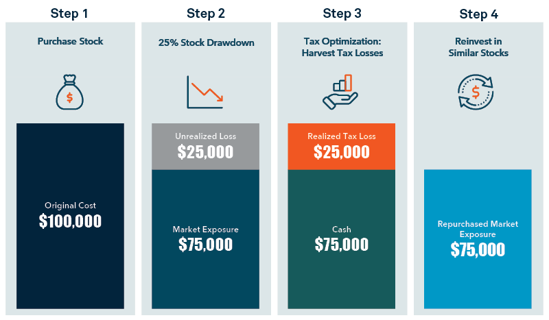 The Tax-Loss Harvesting Process 