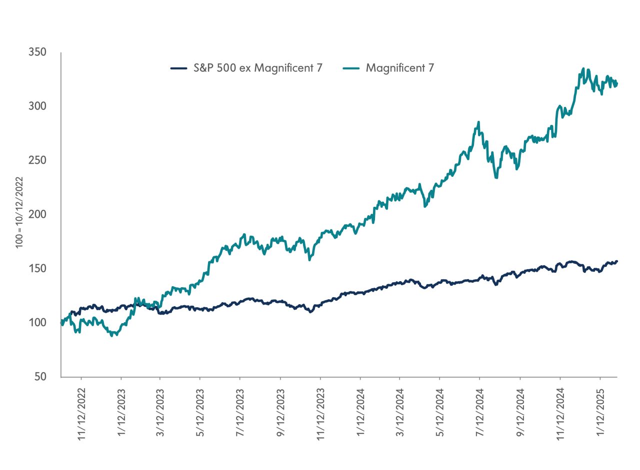 Magnificent 7 Performance